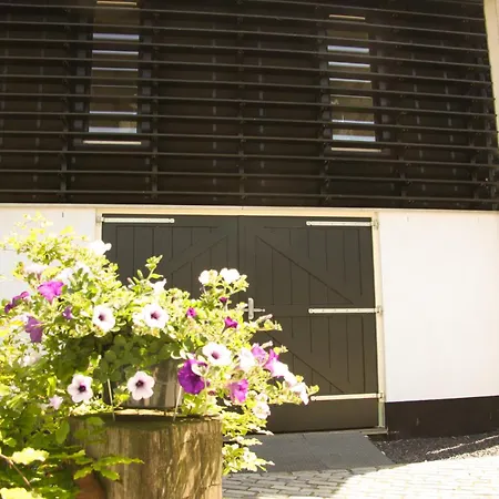 Boerenhofstede De Overhorn 4* Весп