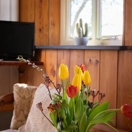 Boerenhofstede De Overhorn 4*