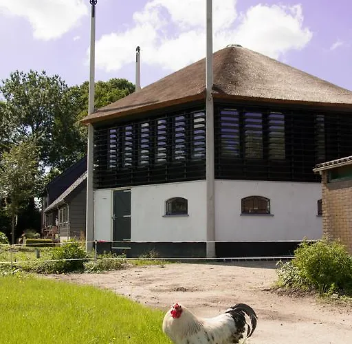 B&B Boerenhofstede De Overhorn