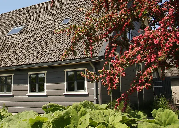 Boerenhofstede De Overhorn 비스프