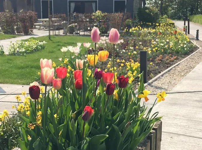 Boerenhofstede De Overhorn 비스프