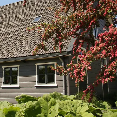 Boerenhofstede De Overhorn 비스프