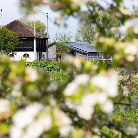 Bed & Breakfast Boerenhofstede De Overhorn *