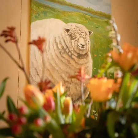 Boerenhofstede De Overhorn Oda ve Kahvaltı Weesp